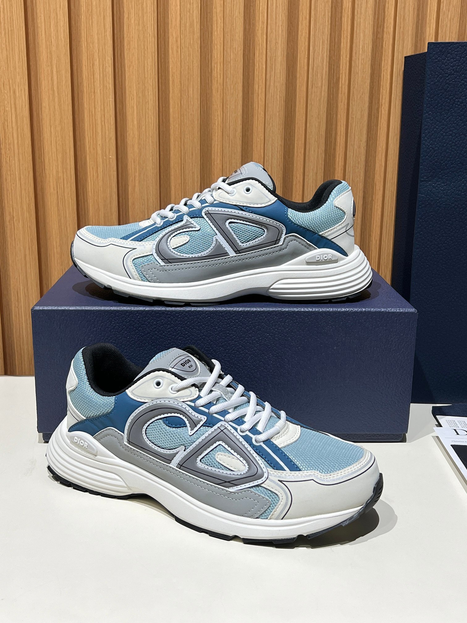 66_Dior B30 Shoes