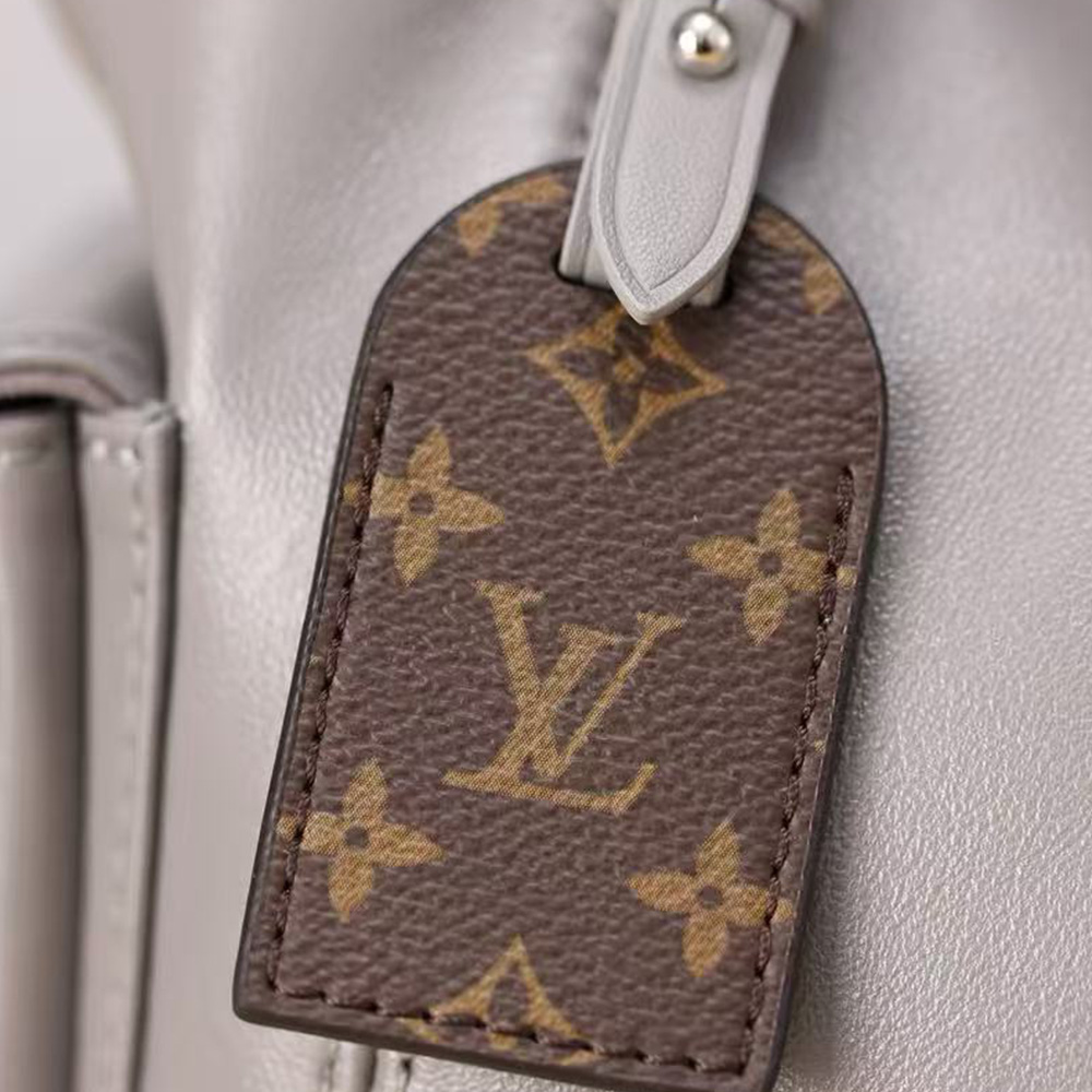 Louis Vuitton CarryAll Cargo Vibe PM Cargo (7A regular version)
