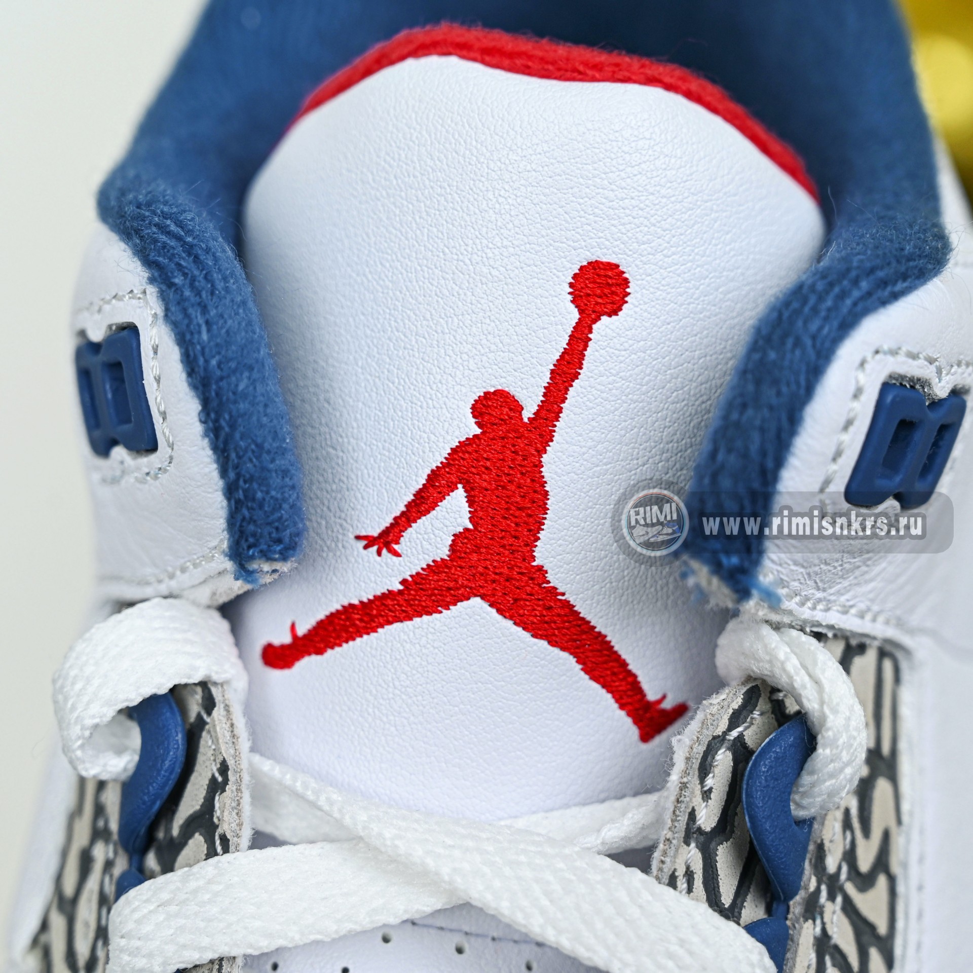 Air Jordan 3 True Blue