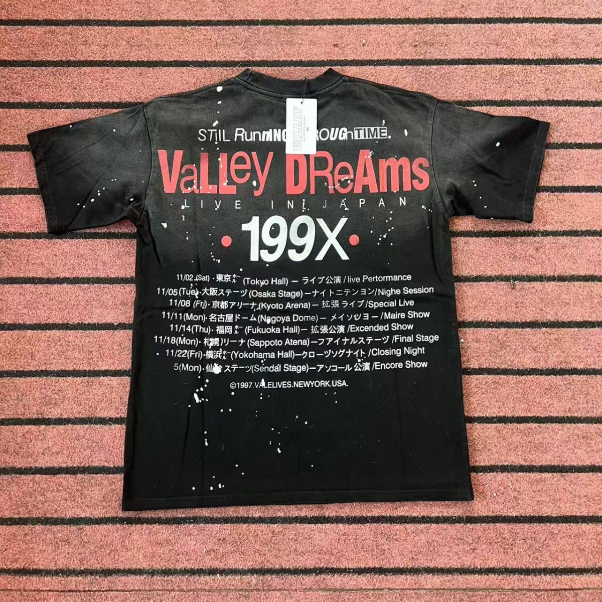 106_Valley Dream T-shirt
