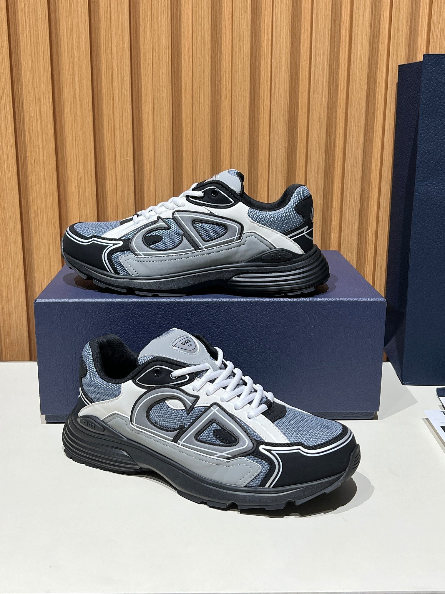 72_Dior B30 Shoes