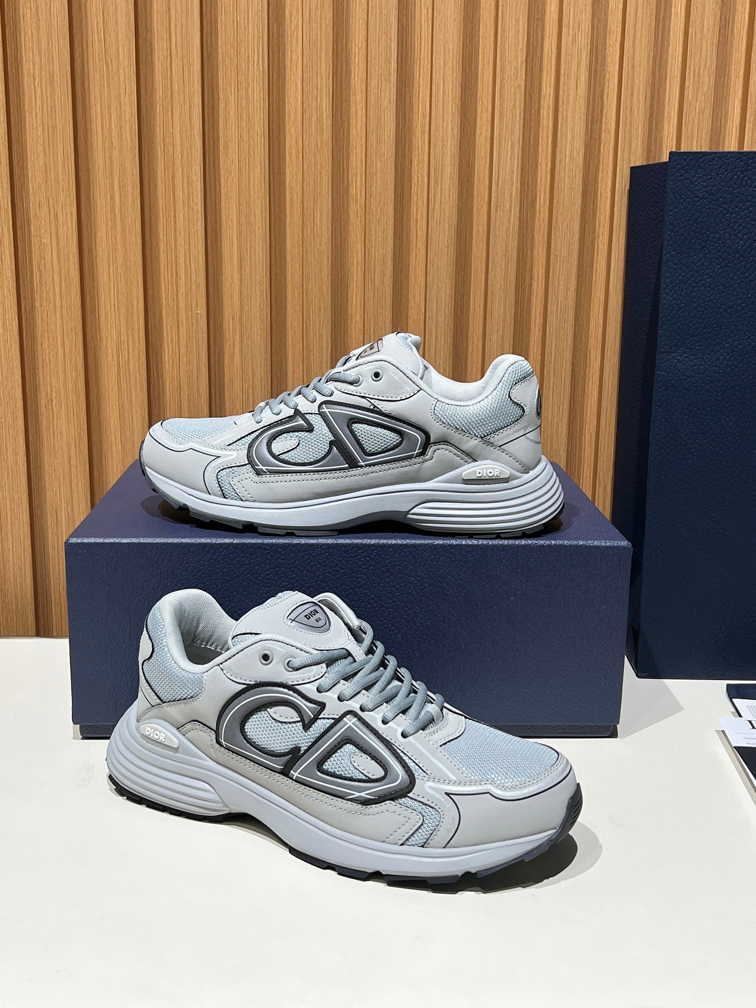 60_Dior B30 Shoes