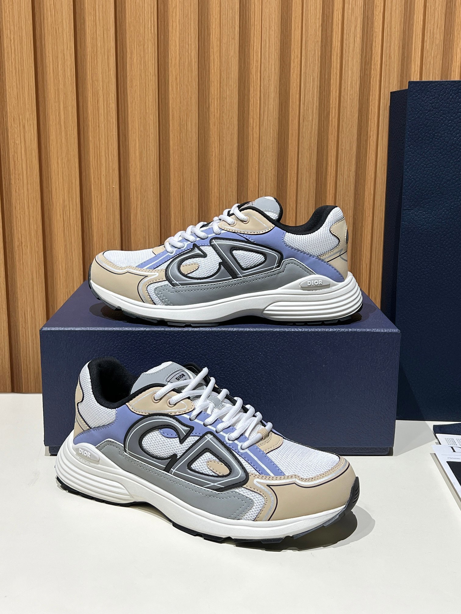 64_Dior B30 Shoes