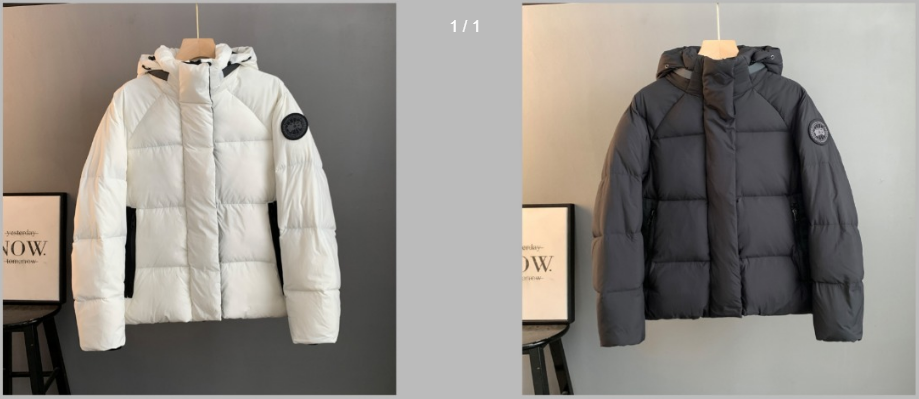 32_Canada Goose Down Jacket