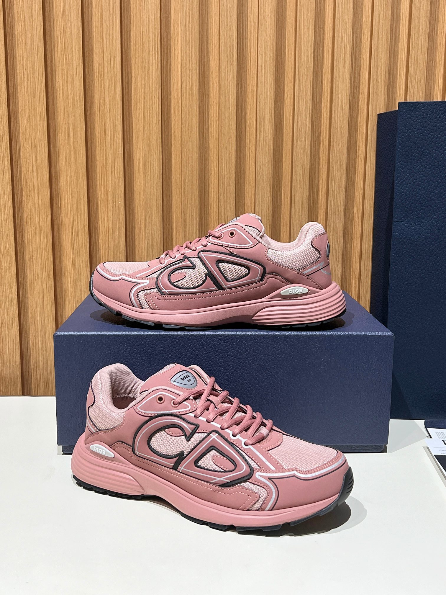 80_Dior B30 Shoes