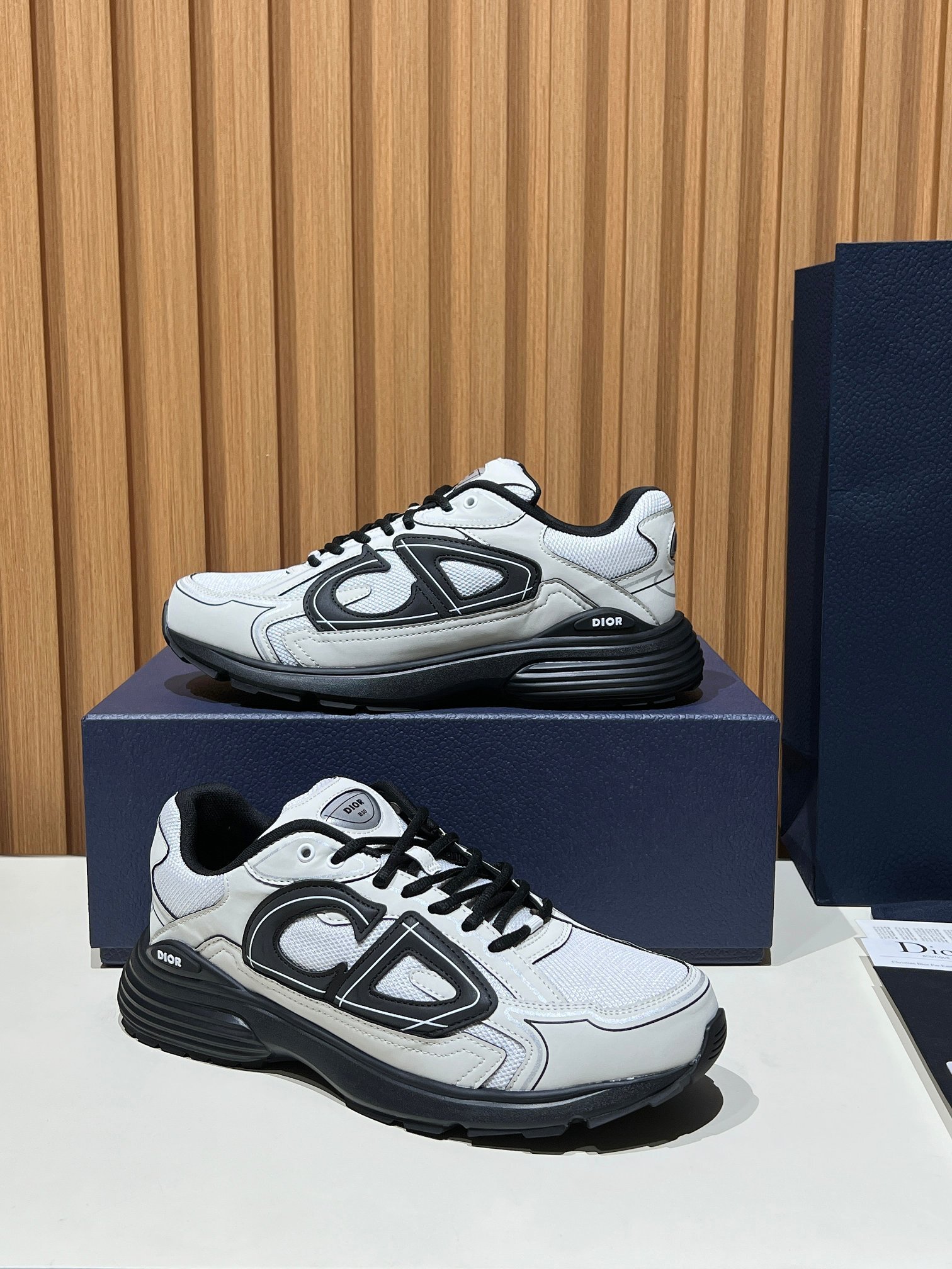 57_Dior B30 Shoes