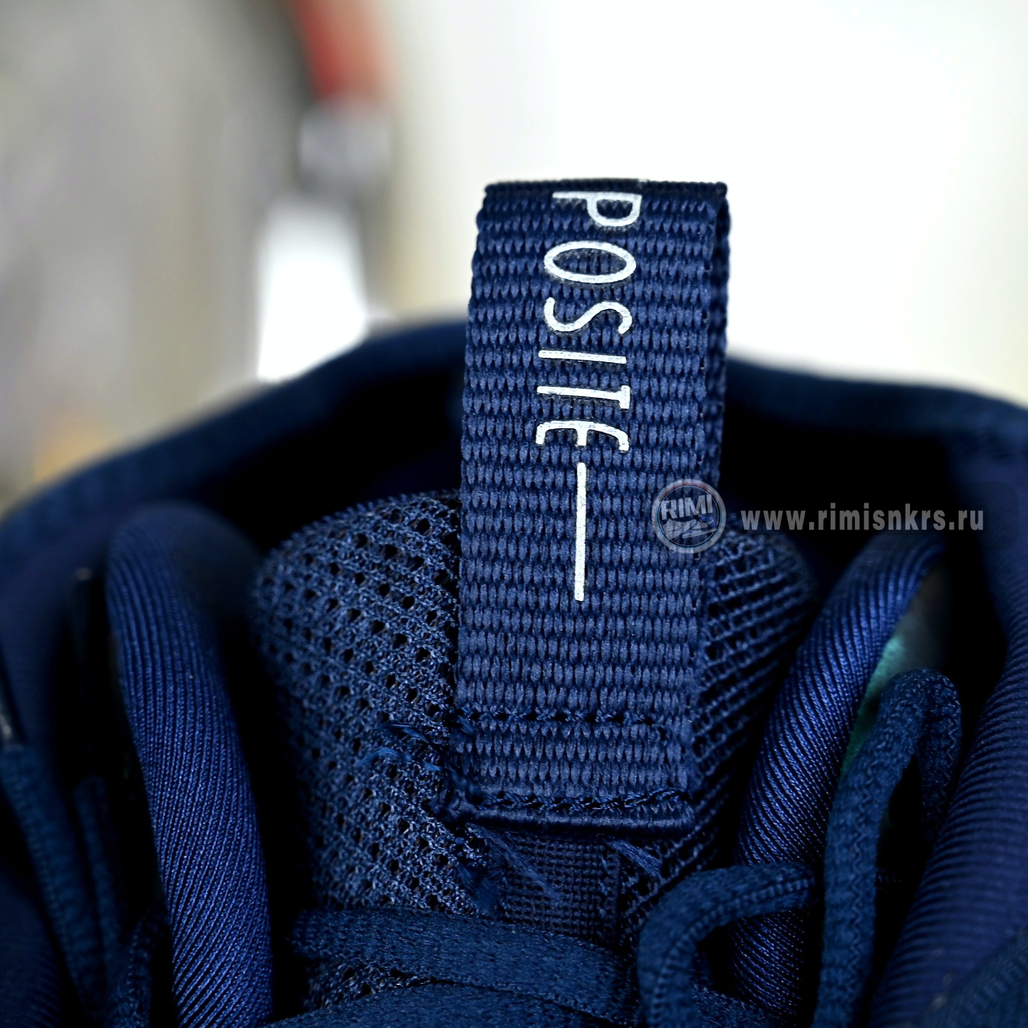 Nike Air Flightposite “Eggplant” HJ4481-900