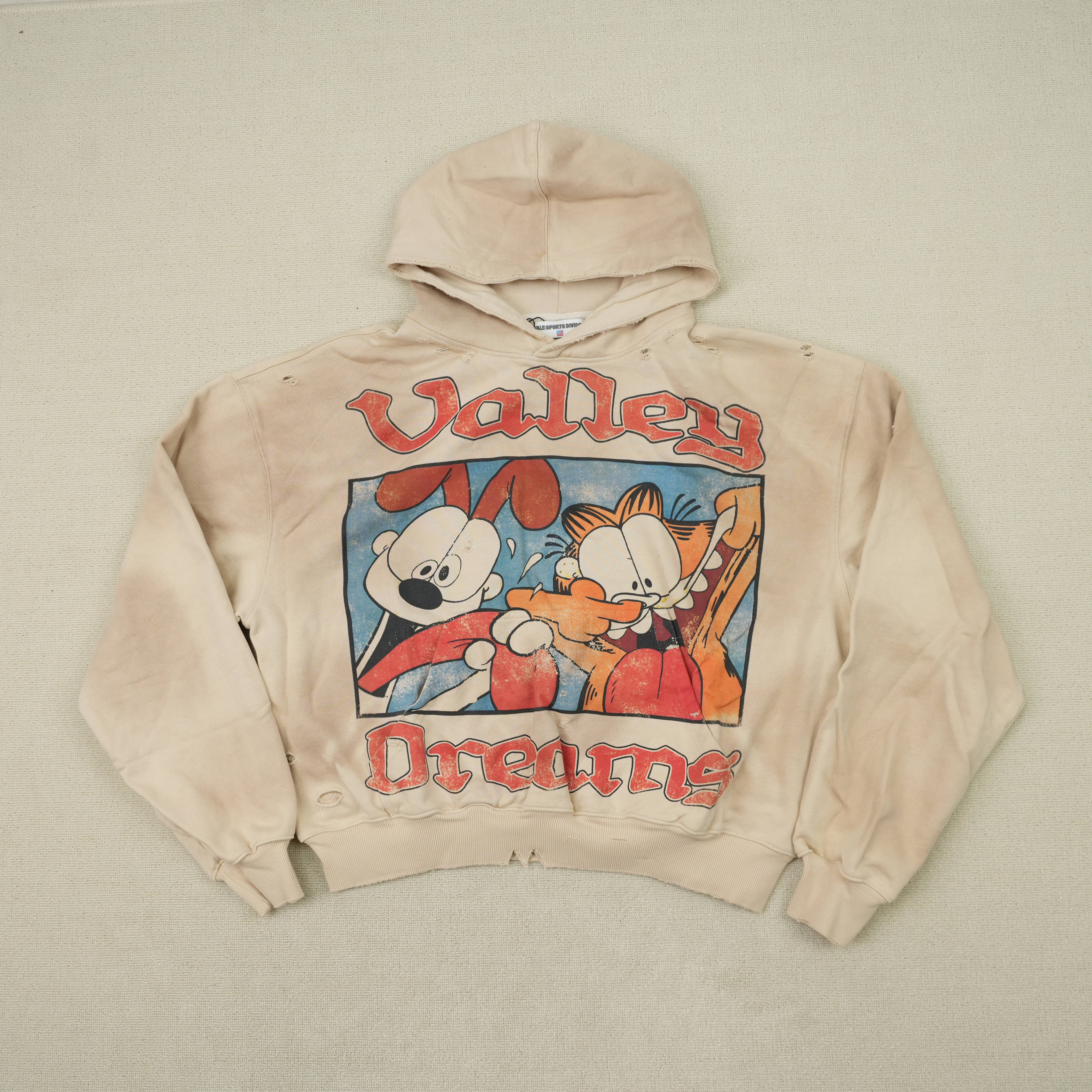 42_[1:1 quality] Valley Dream Hoodie