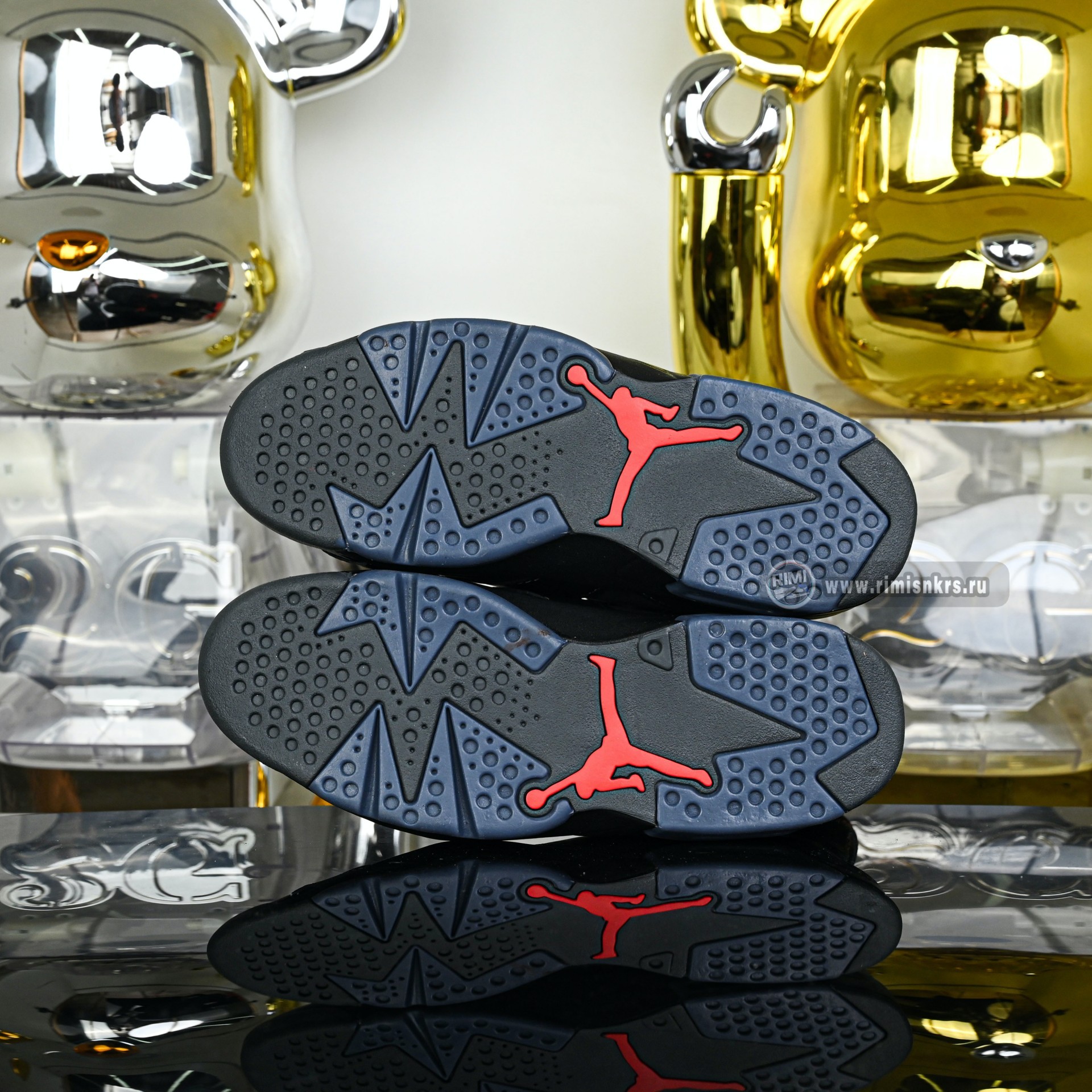 Air Jordan 6 