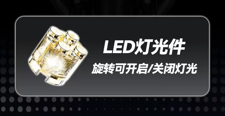 GULY 60548 1:5 BMW R1300GS - YWOBB