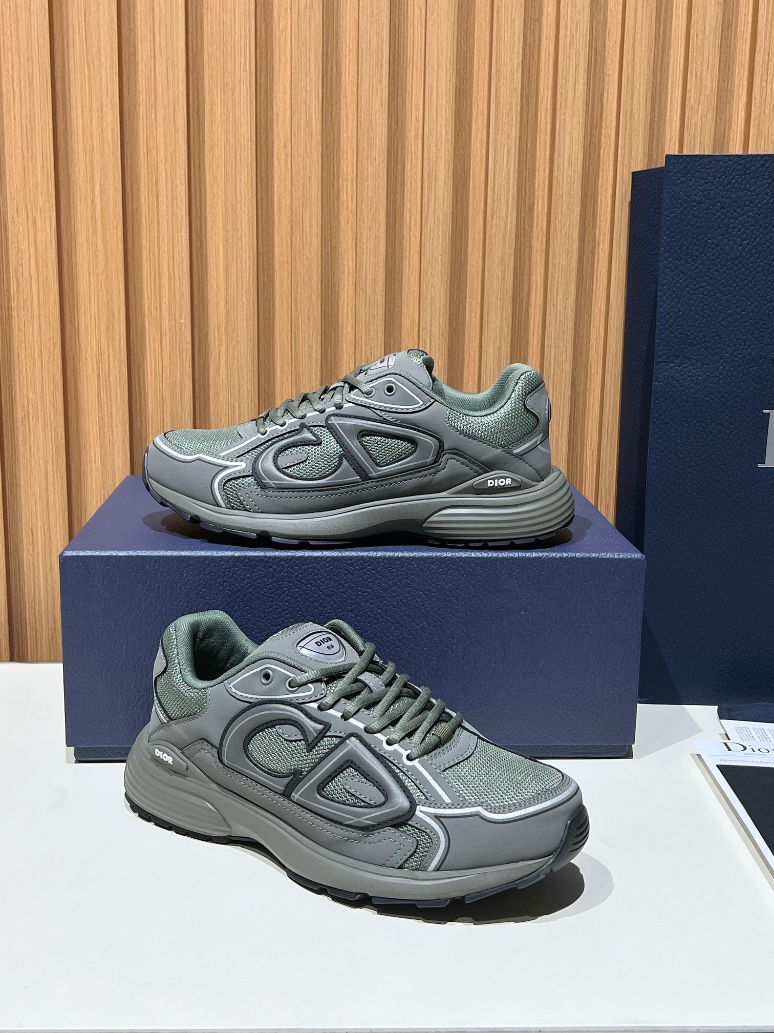 73_Dior B30 Shoes