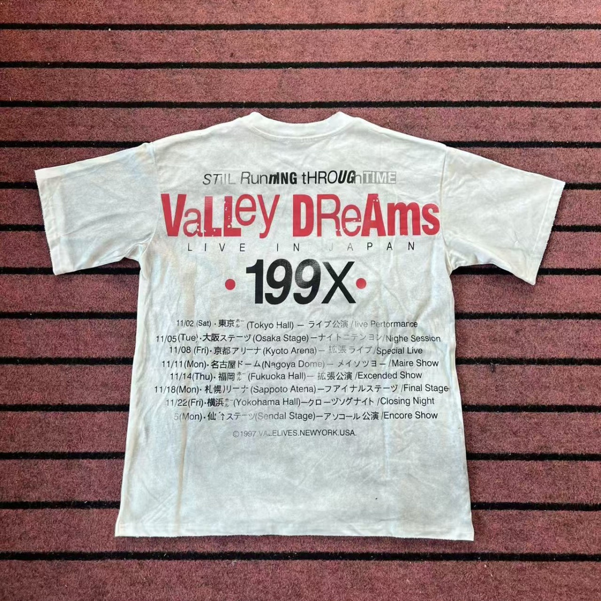 106_Valley Dream T-shirt