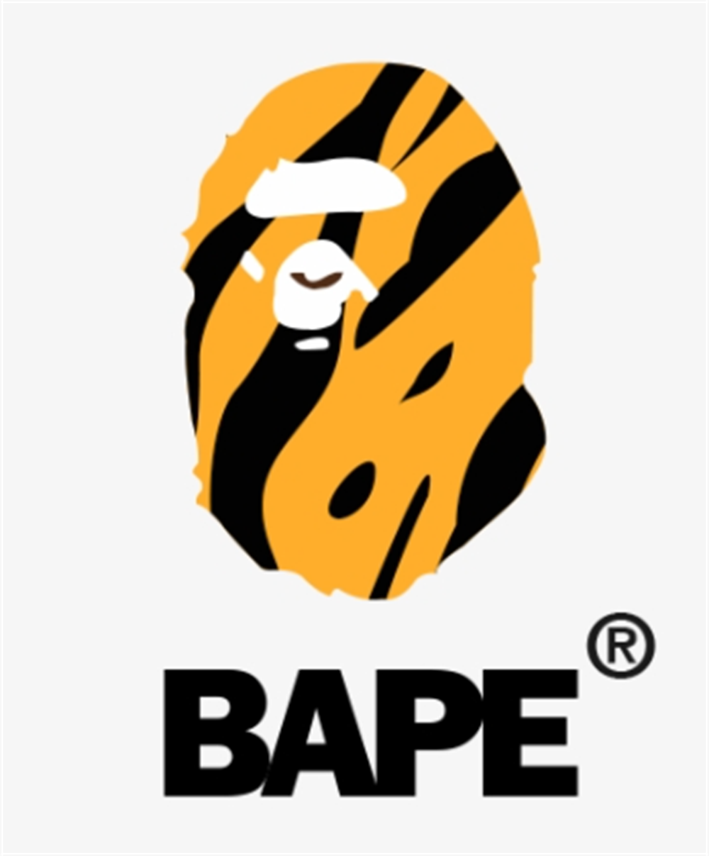 Bape Shoes
