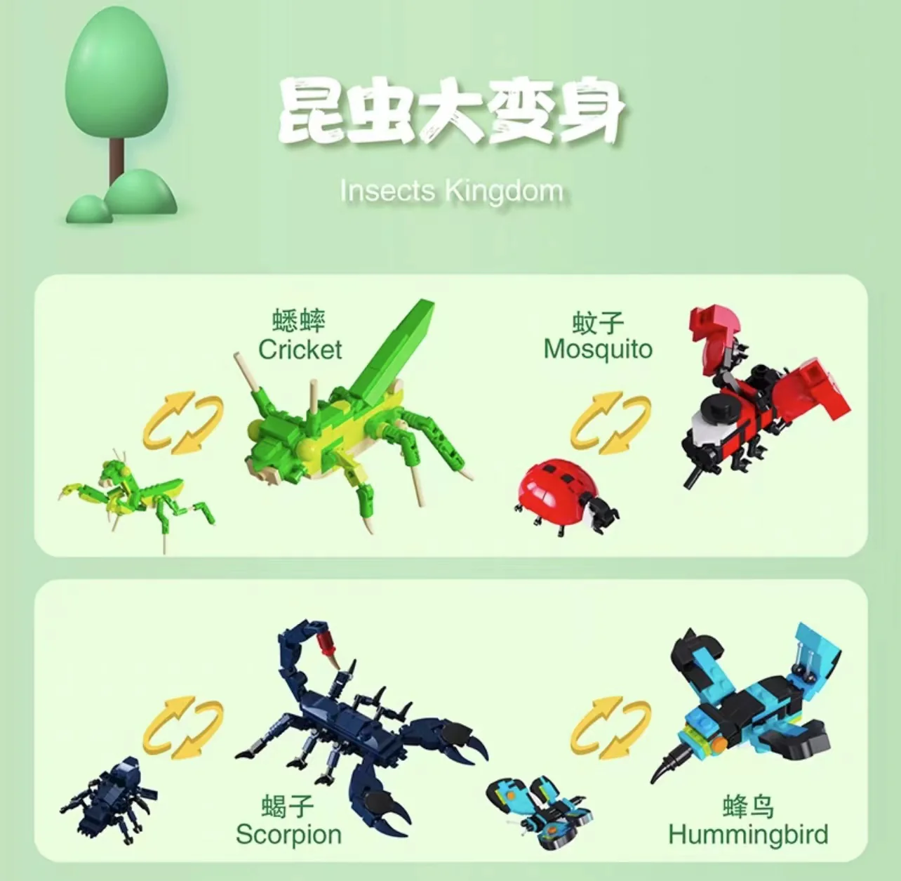 DKCX 7004 Insect Kingdom - YWOBB