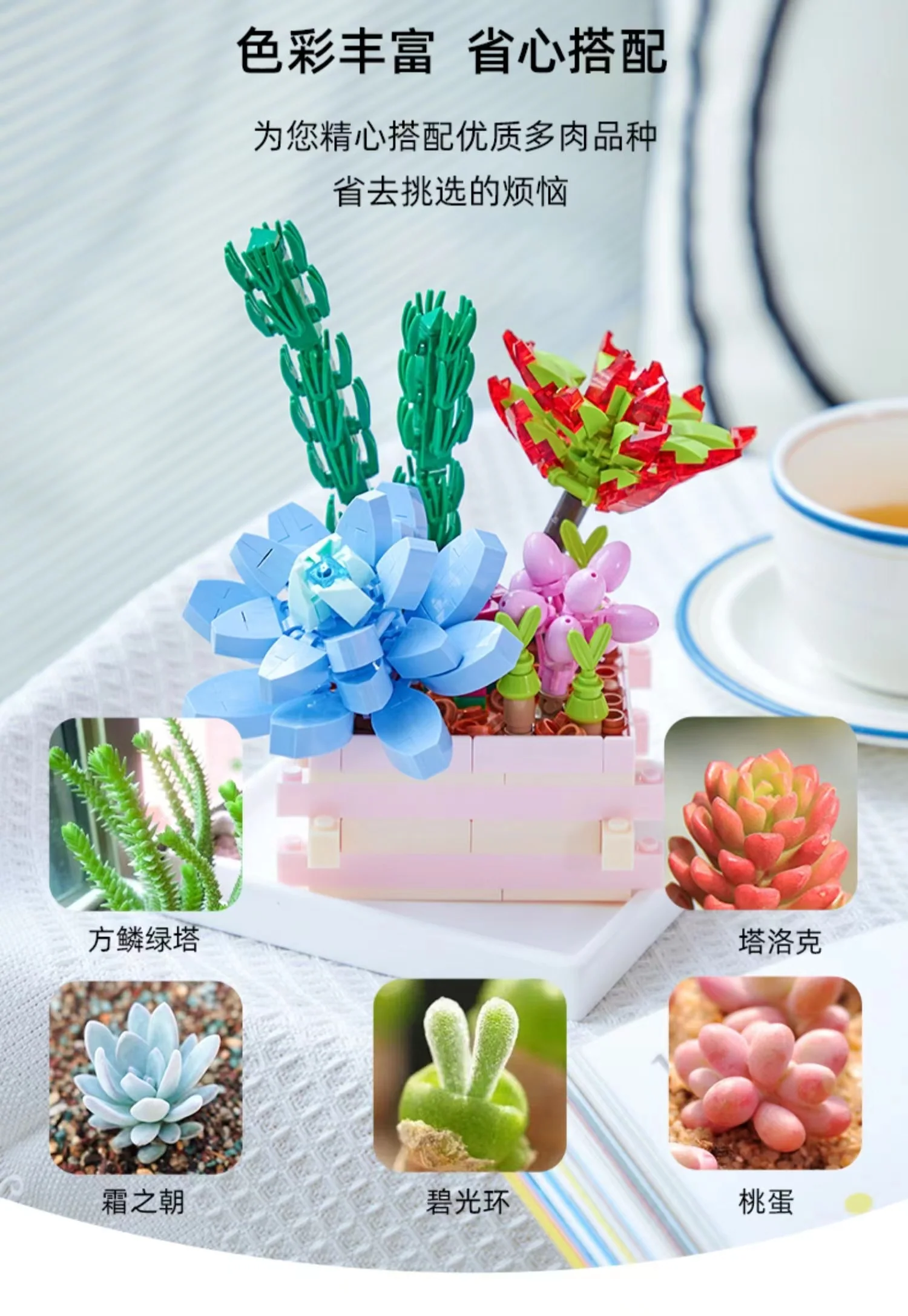 PANTASY 15100 - 15102 Succulent Garden - YWOBB