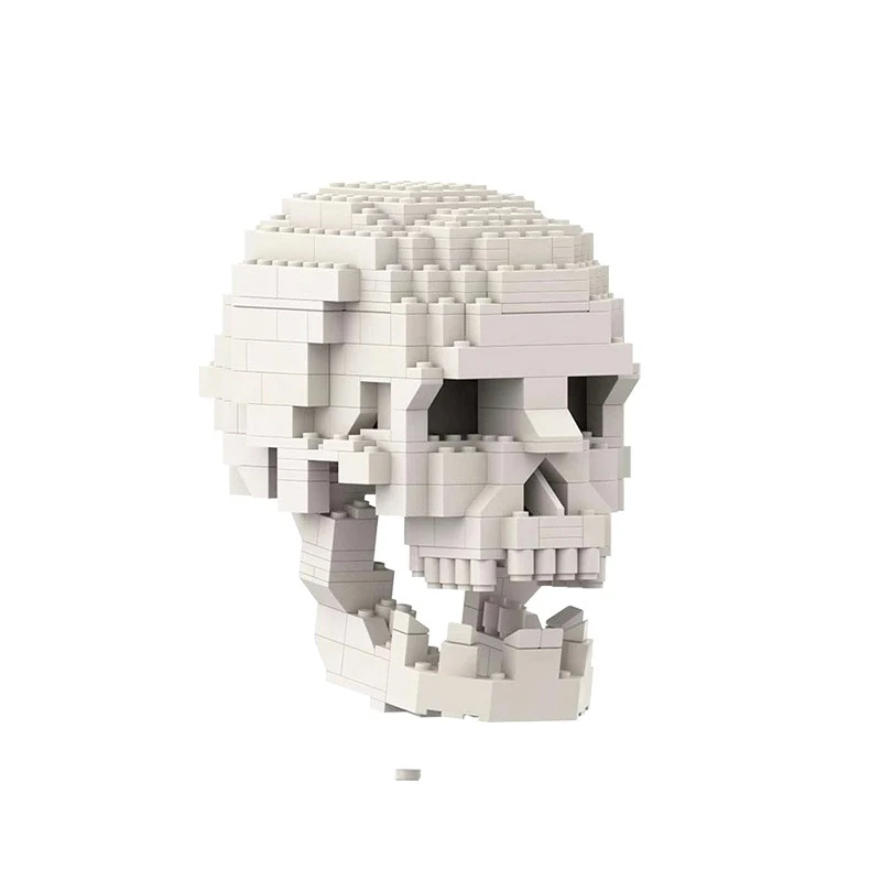 MOC 41161 Human Skull with brain - YWOBB