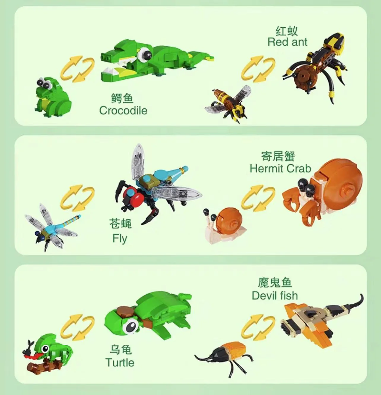 DKCX 7004 Insect Kingdom - YWOBB