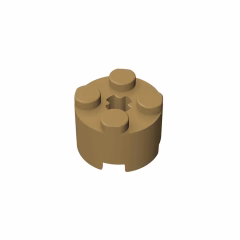 GOBRICKS GDS-607 Round 2 x 2 with Axle Hole - YWOBB