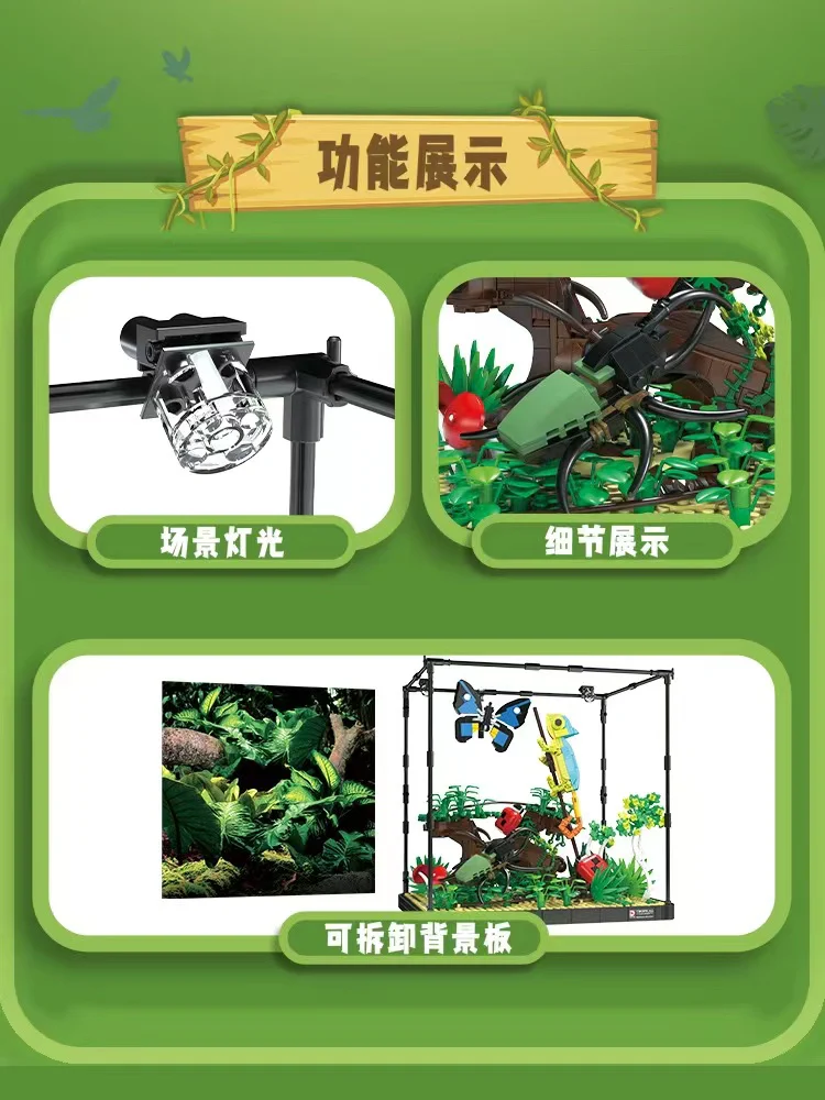 DK 7021 Tropical Rain Forest - YWOBB