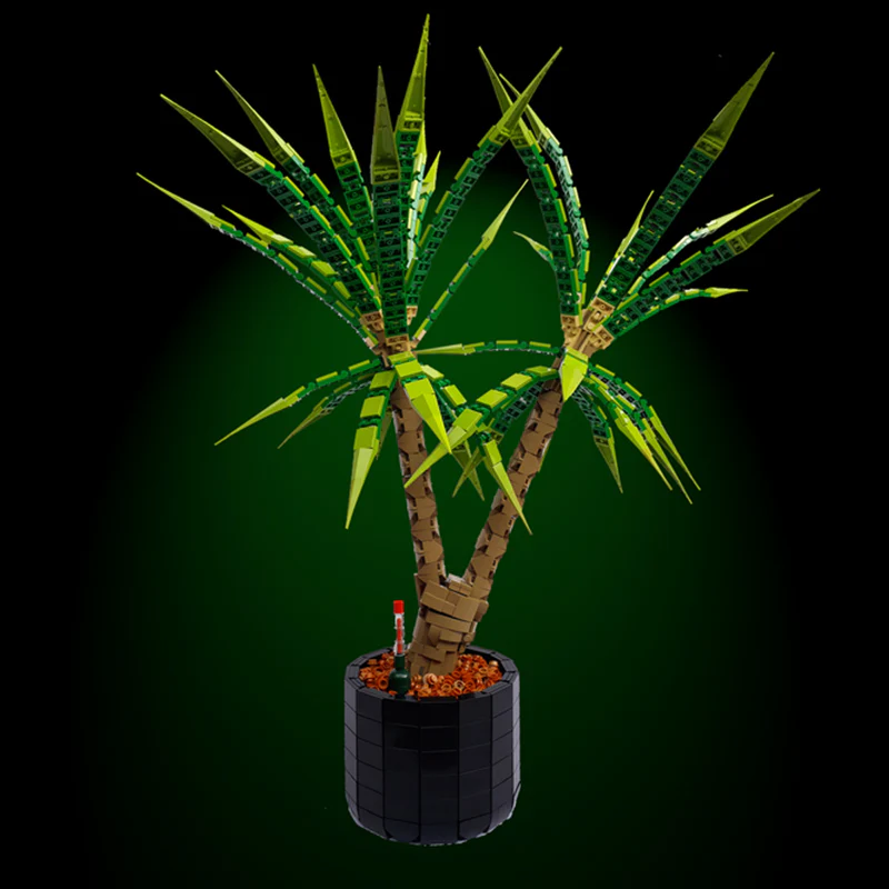 MOC 118715 Dracaena Marginata (Dragon Tree) - YWOBB