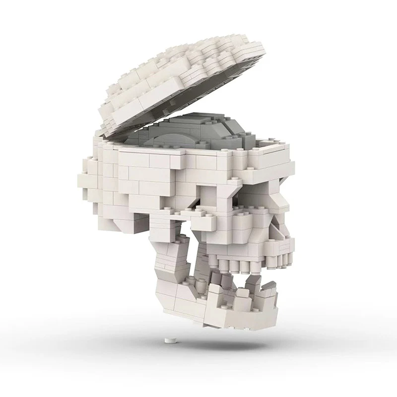 MOC 41161 Human Skull with brain - YWOBB