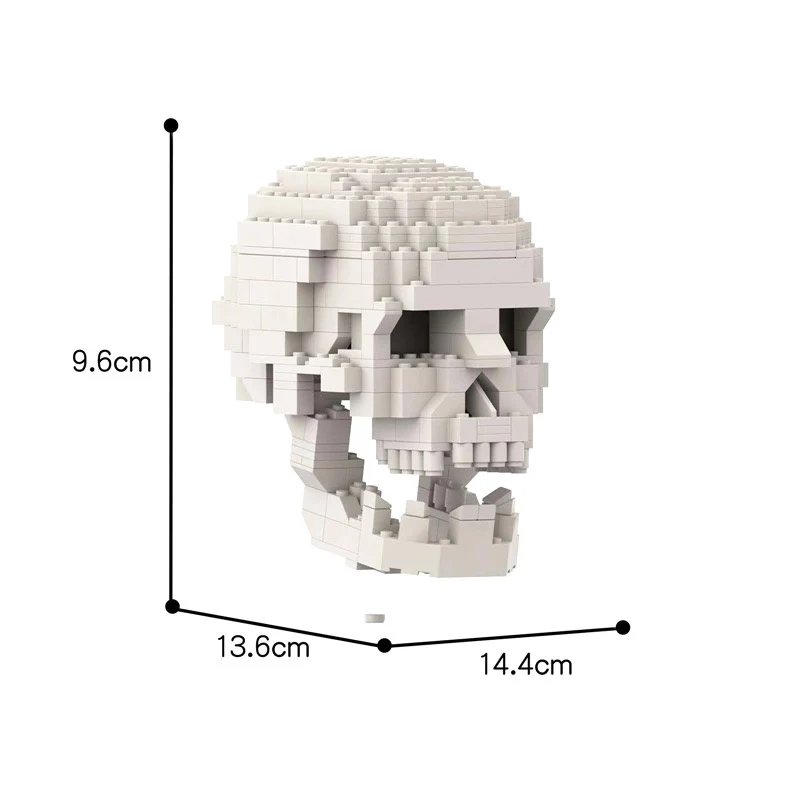 MOC 41161 Human Skull with brain - YWOBB