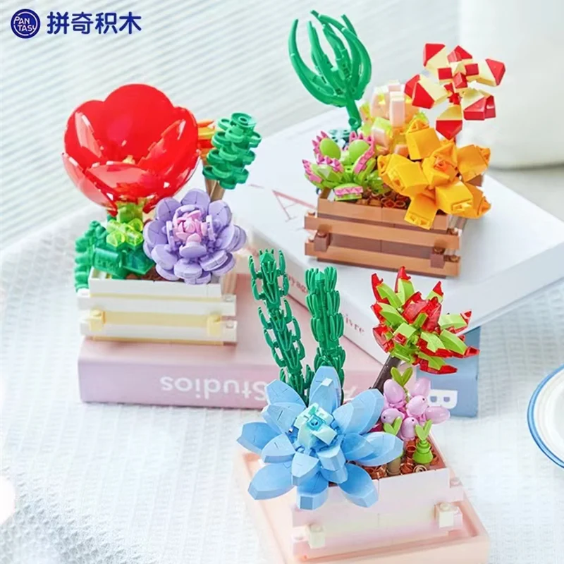PANTASY 15100 - 15102 Succulent Garden - YWOBB