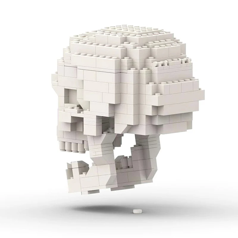 MOC 41161 Human Skull with brain - YWOBB