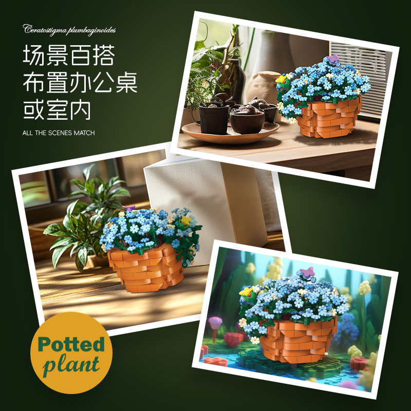 JIE STAR JJ9131 Blue leadwort - YWOBB