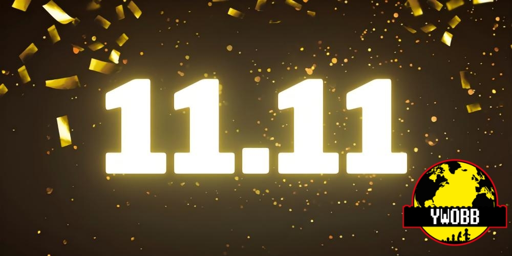 YOURWOBB 2024 Double 11 Promotion!! - YWOBB