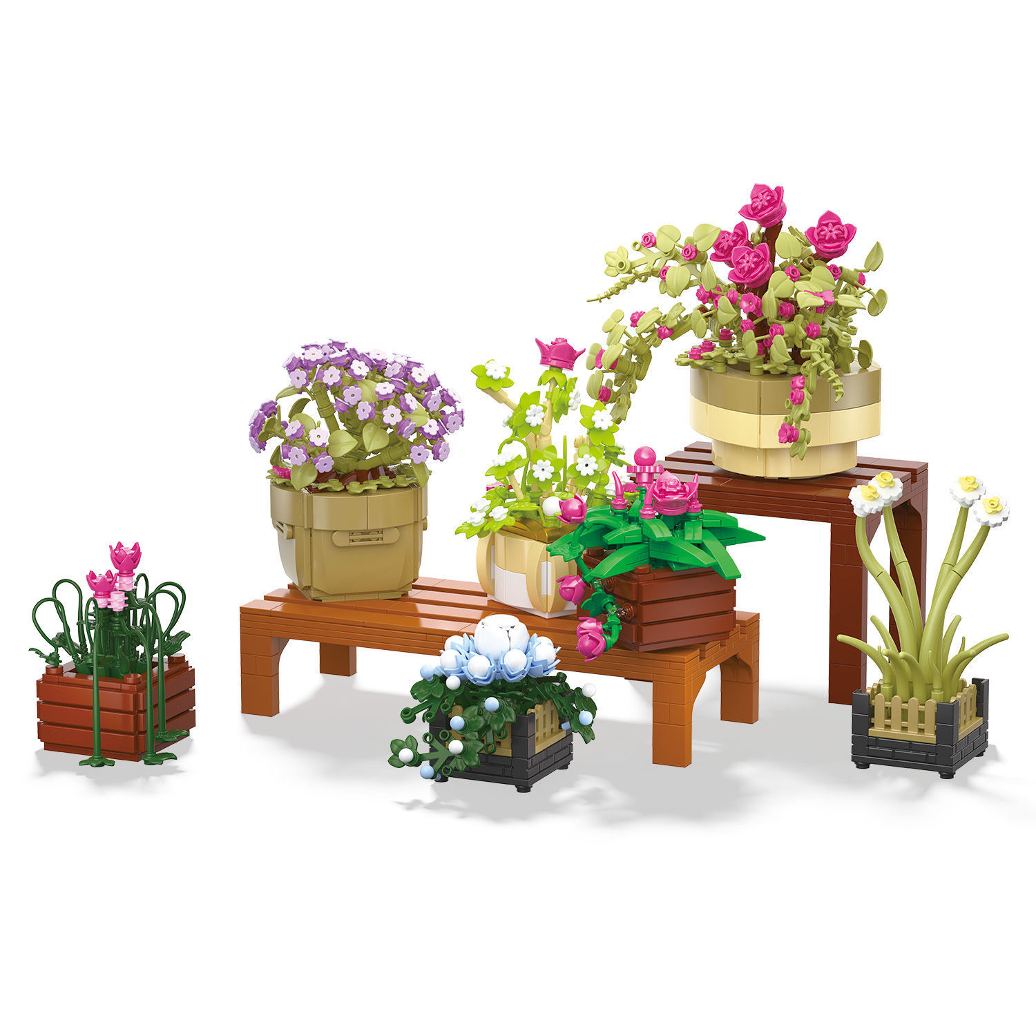 BAKA 33804 Cymbidium Potted Plant - YWOBB