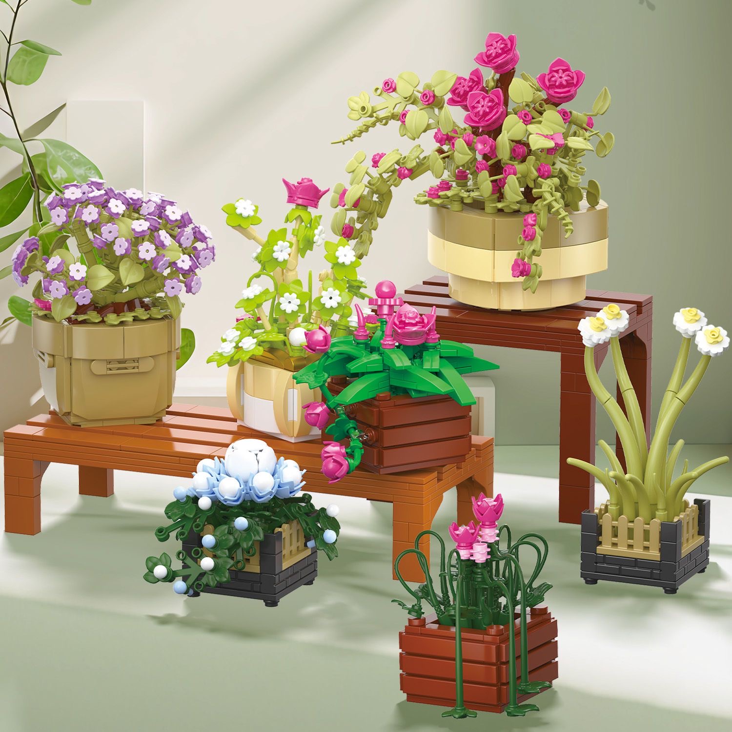 BAKA 33804 Cymbidium Potted Plant - YWOBB