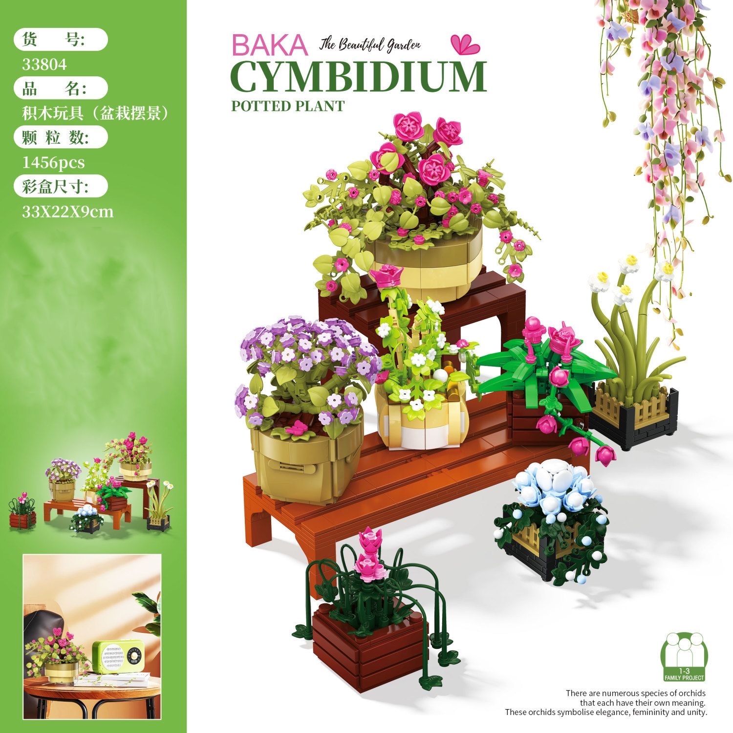 BAKA 33804 Cymbidium Potted Plant - YWOBB