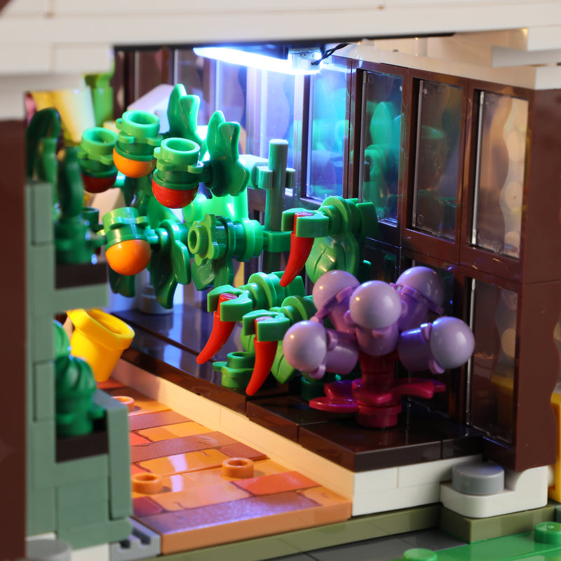 FunWhole F9059 Home Gardening Greenhouse - YWOBB