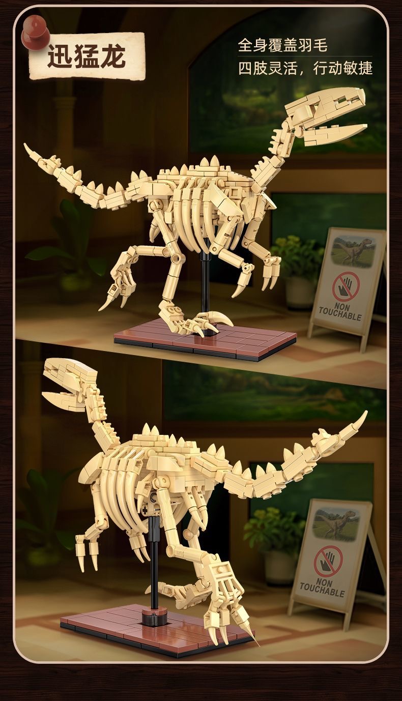 CADA C59014 Skeleton dinosaur model - Raptor - YWOBB