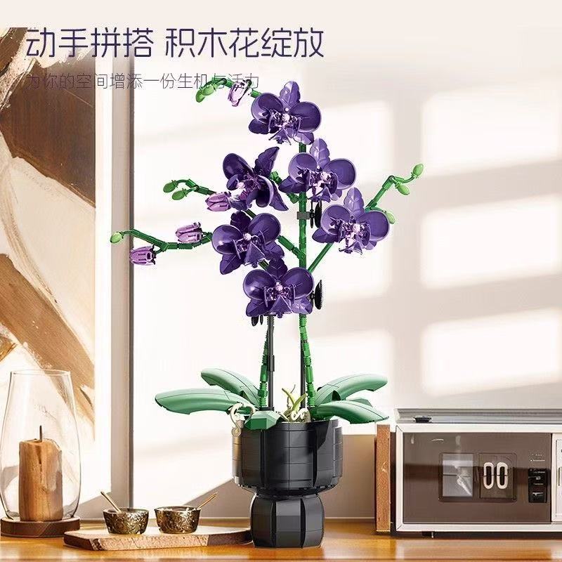 JIE STAR JJ9235 Purple Orchid - YWOBB