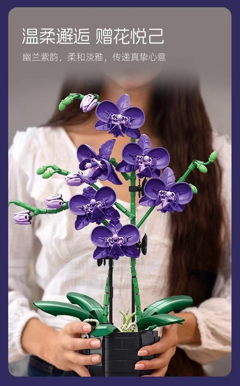 JIE STAR JJ9235 Purple Orchid - YWOBB
