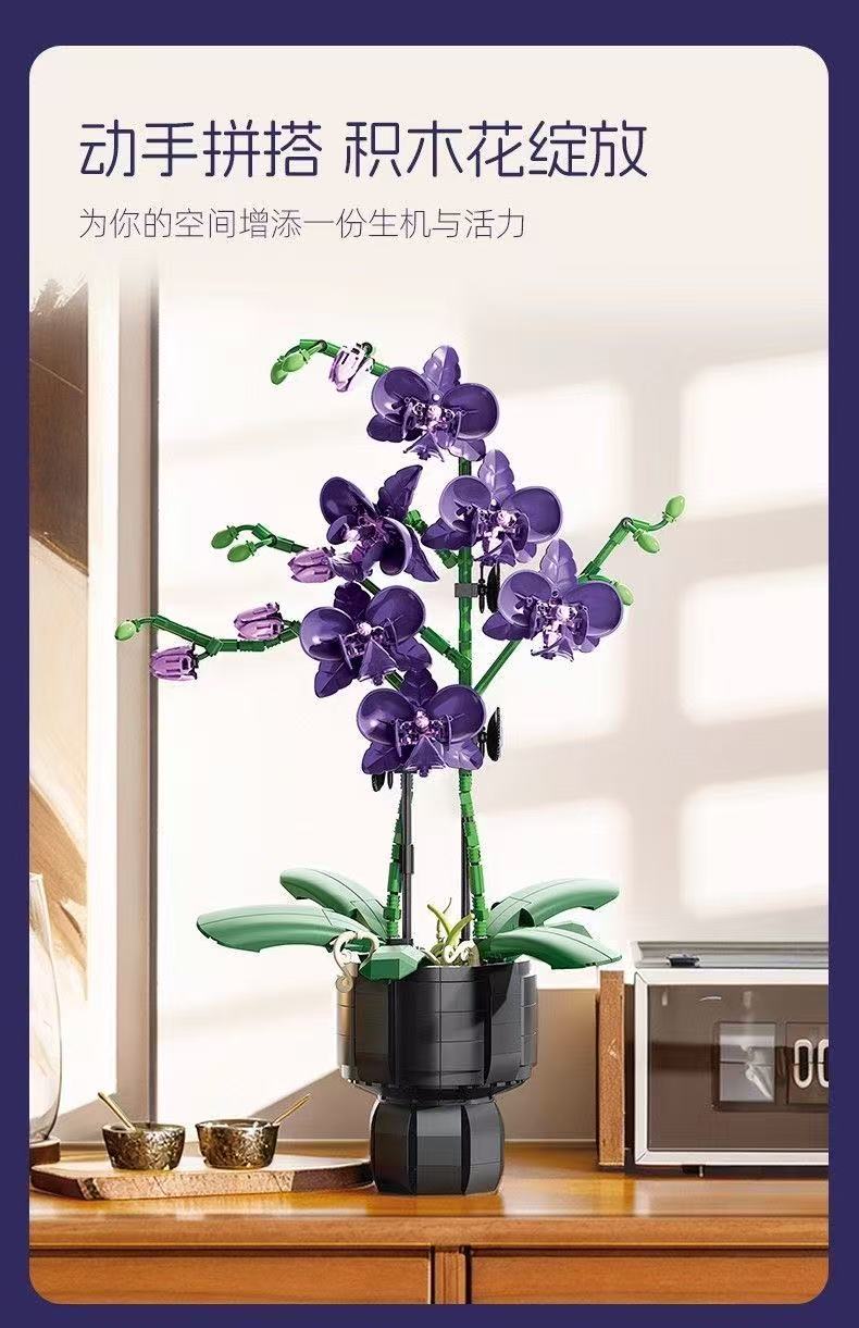 JIE STAR JJ9235 Purple Orchid - YWOBB