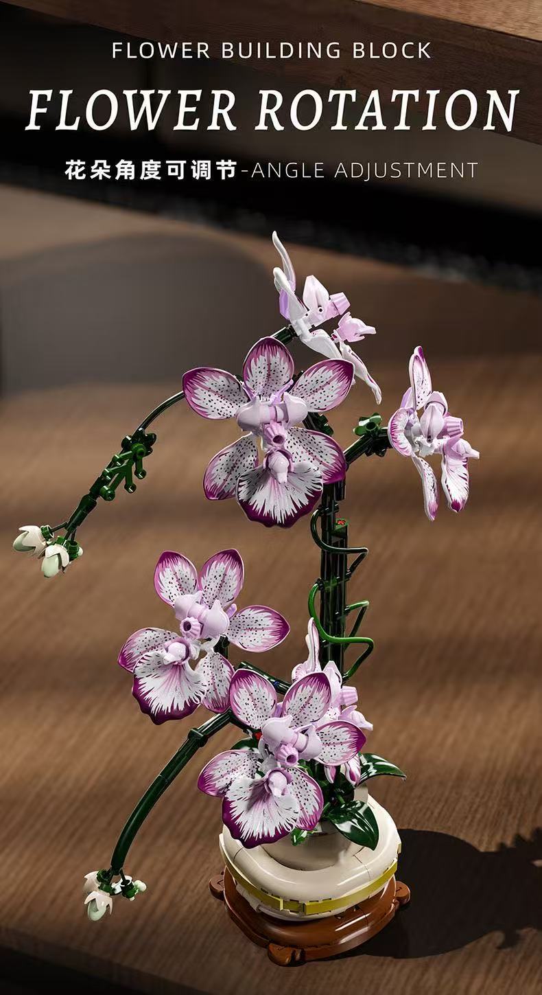 MJ 13114 Cymbidium - YWOBB