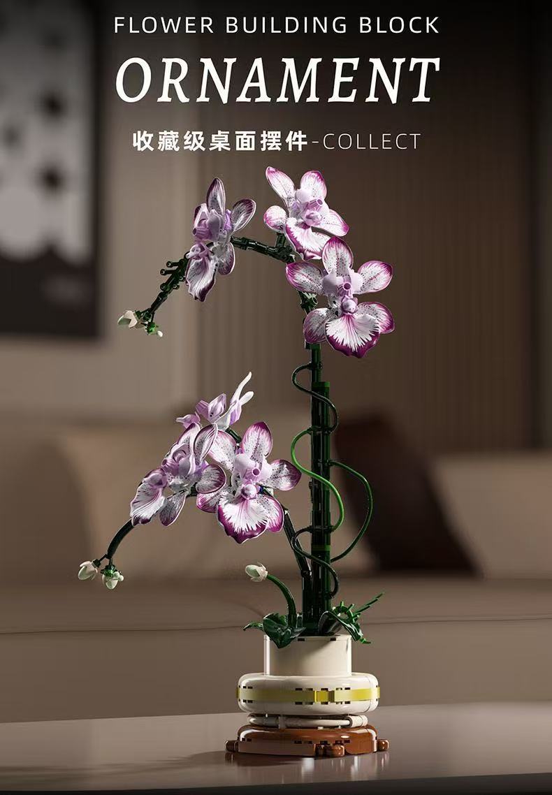 MJ 13114 Cymbidium - YWOBB