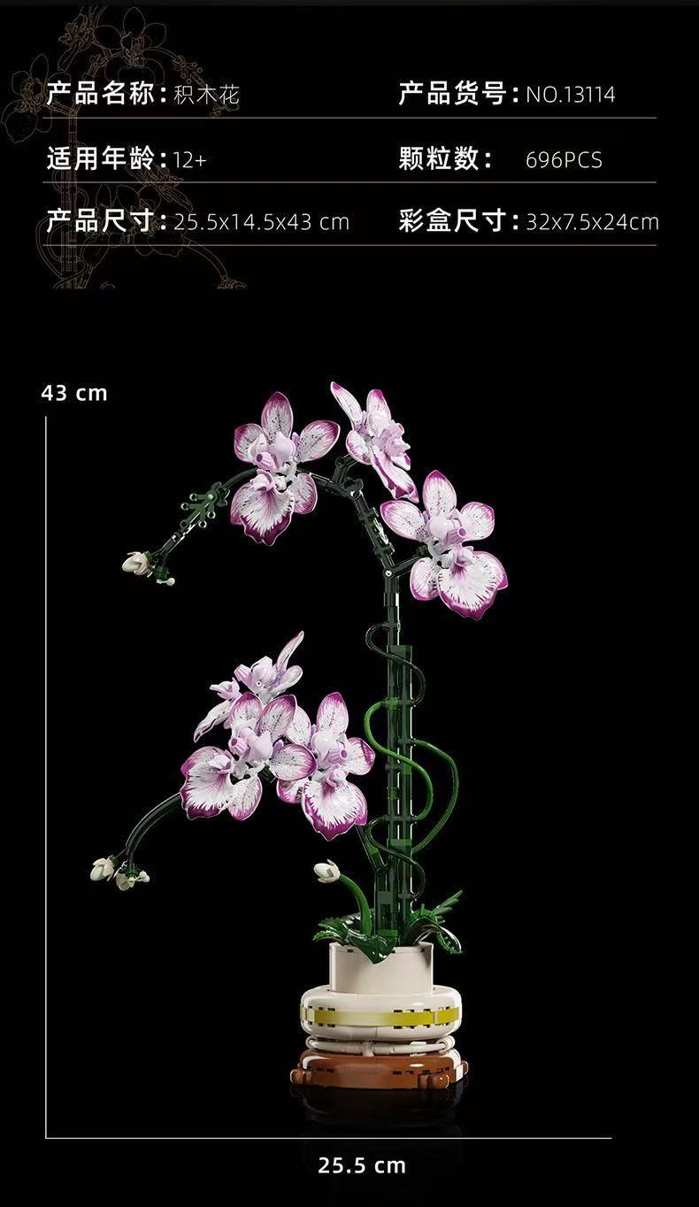 MJ 13114 Cymbidium - YWOBB