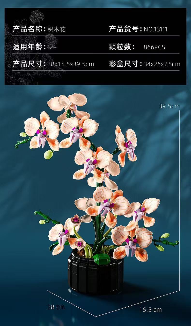 MJ 13111 Champagne Orchid - YWOBB