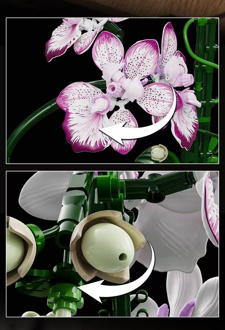 MJ 13114 Cymbidium - YWOBB