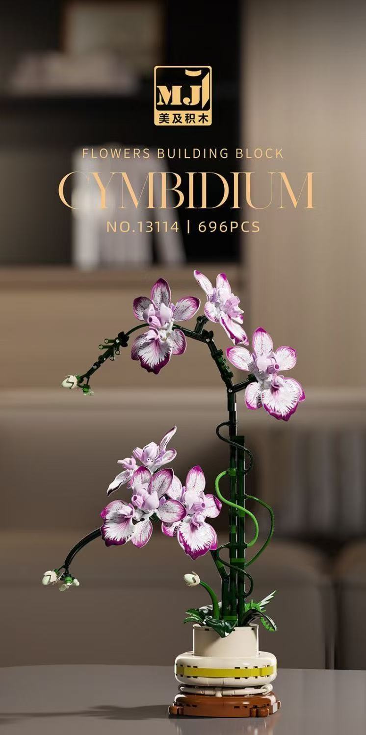 MJ 13114 Cymbidium - YWOBB