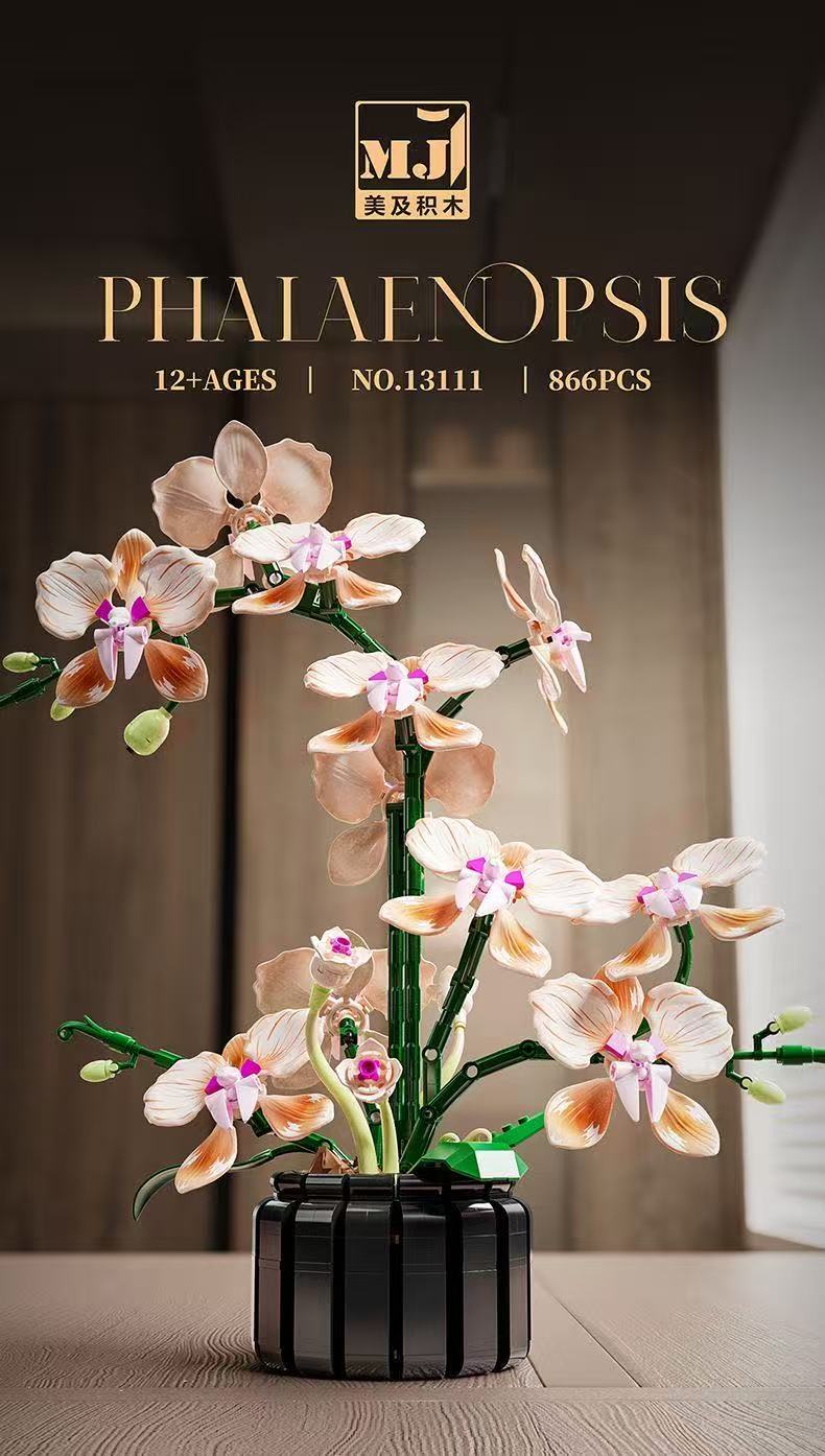 MJ 13111 Champagne Orchid - YWOBB