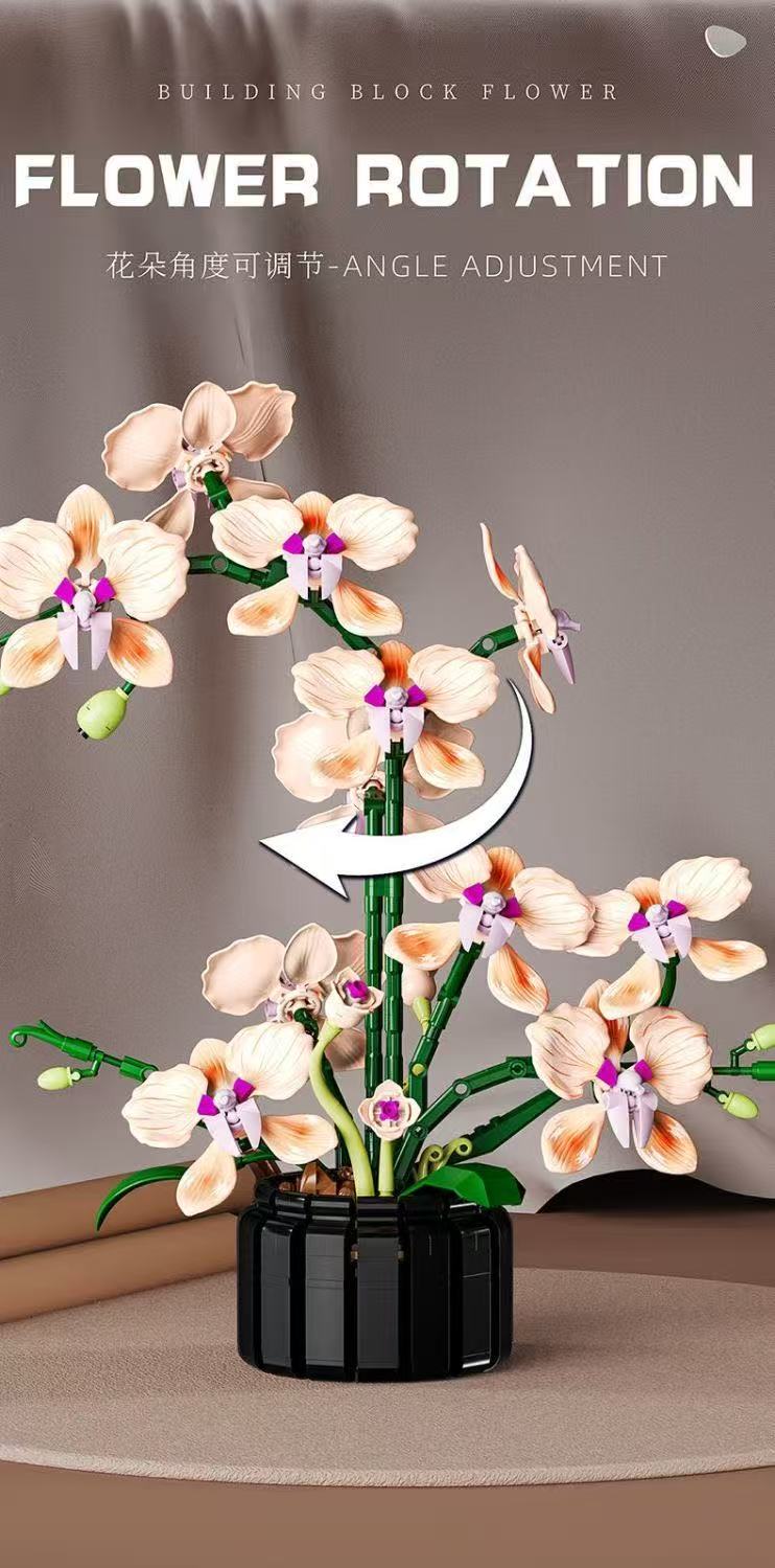 MJ 13111 Champagne Orchid - YWOBB