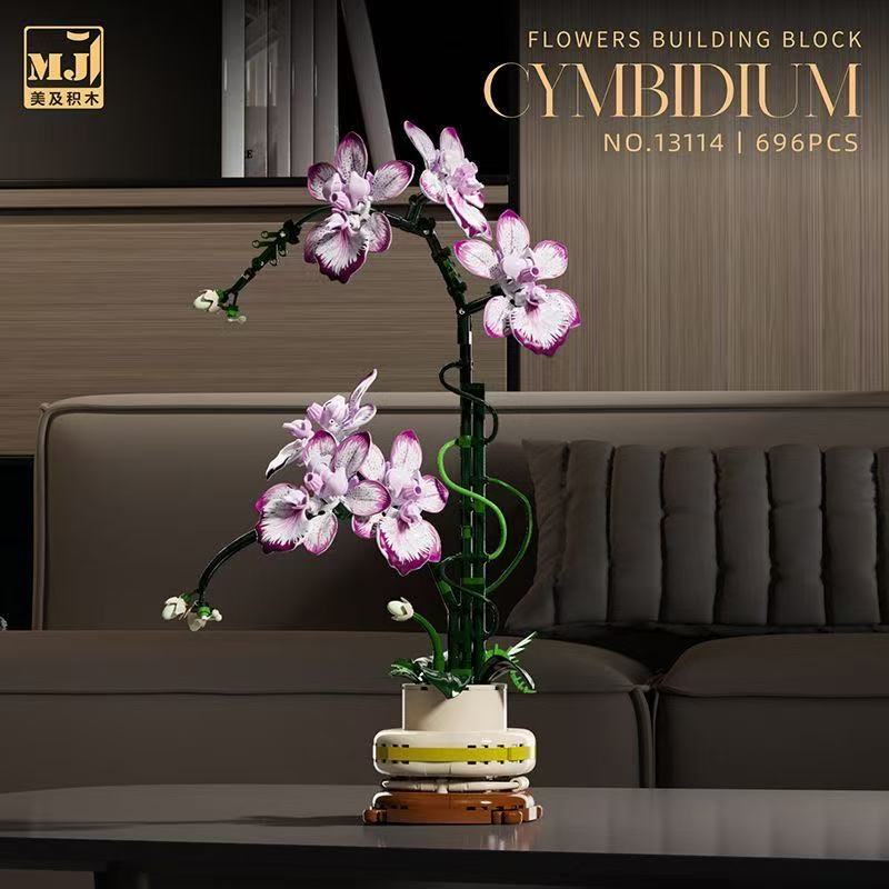 MJ 13114 Cymbidium - YWOBB