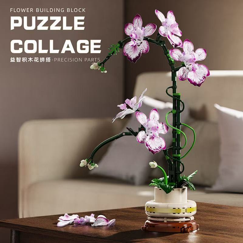 MJ 13114 Cymbidium - YWOBB