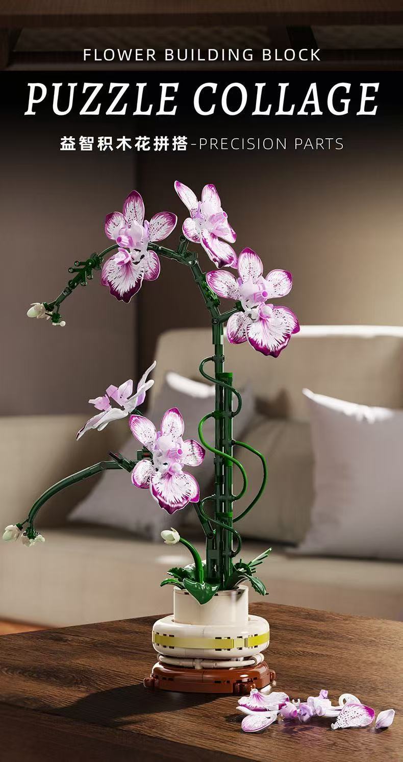 MJ 13114 Cymbidium - YWOBB