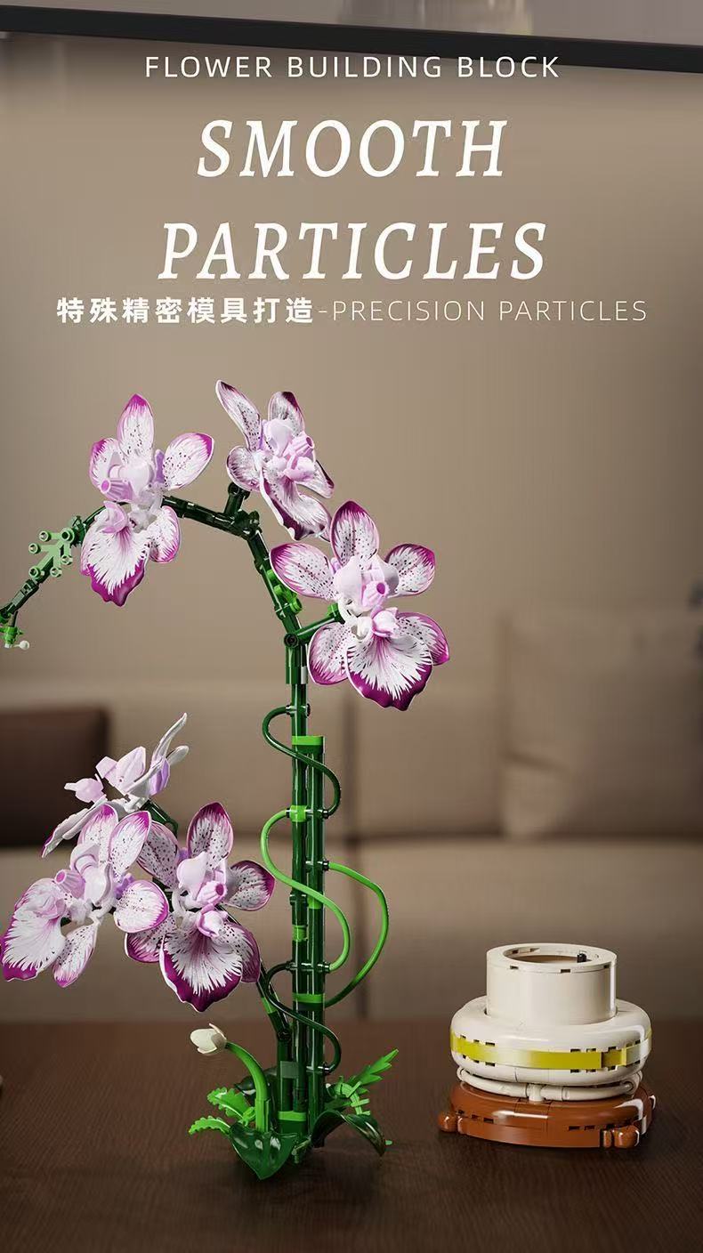 MJ 13114 Cymbidium - YWOBB